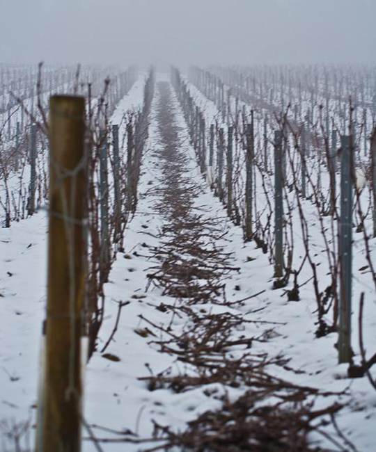 L'Hiver